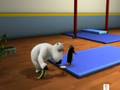 Ursul Bernard - gimnastica artistica