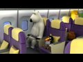 Ursul Bernard - in avion